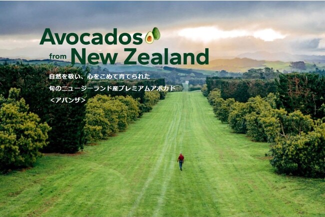 豊富な栄養で健康をサポートするニュージーランド産プレミアムアボカド＜アバンザ＞旬の時期到来！10月下旬より販売開始＆ウェブページをリニューアル