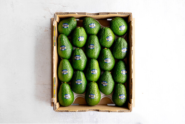 10月中旬から2025年シーズン販売開始　食にこだわる人が選ぶ、ニュージーランド産プレミアムアボカド〈アバンザ〉