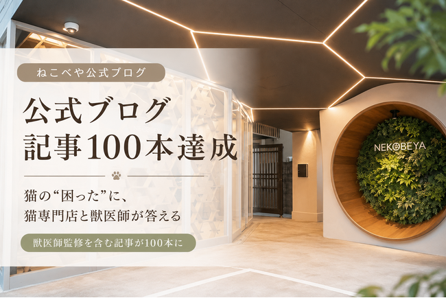【記事100本達成】猫の“困った”に、猫専門店と獣医師が答える。猫専門ホテル『ねこべや』の公式ブログ、獣医師監修を含む記事が100本に
