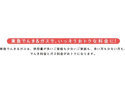 東急でんき ガス ２０１８年７月１日から申し込み受付開始 企業リリース 日刊工業新聞 電子版