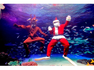 屋外エリア マリンガーデン リニューアル後 初めてのクリスマス Make A Christmas Wish In サンシャイン水族館 企業リリース 日刊工業新聞 電子版