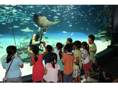 参加者募集!!「夜の探検隊～サンシャイン水族館に泊まろう！～」