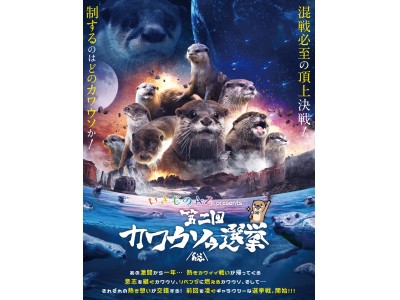 「いきものＡＺpresents第二回カワウソゥ選挙」いよいよ開催！39園館83個体が立候補！！今年もカワウソ人気ナンバー1をかけたあの熱い戦いが帰って来る！