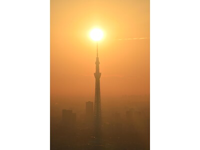 サンシャイン60展望台 天体観賞会 「てんたいパーク」日の出＆スカイツリー(R)撮影会