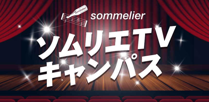 映像制作会社sommelierTVによる女優・俳優養成企画がスタート！9月25日までエントリー受付！