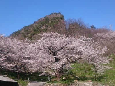 佐渡金銀山を世界遺産へ！