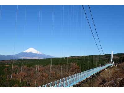 地上70mから、ひと際美しい富士山を。冬富士を巡る「伊豆日帰りバスツアー」