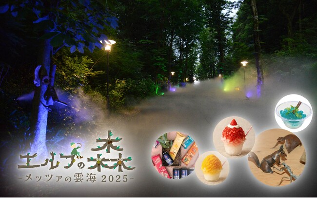 雲海が広がる魔法の森「エルフの森-メッツァの雲海 2025-」メッツァの天然資源をアップサイクルした循環型野外アート展示＆ギャラリー