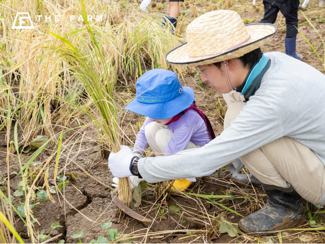 お米の価値を見直す“食育体験”。年間33万人が訪れる農園リゾートTHE FARMで、稲刈り体験付き宿泊プランを3日間限定で販売