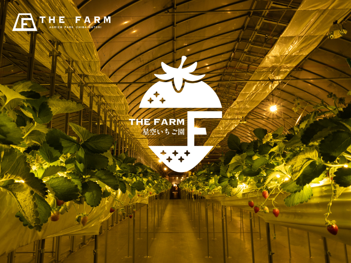 【房総の新スポット】年間33万人が訪れる農園リゾートが手掛ける「THE FARM星空いちご園」が2025年12月13日（土）オープン。 各メディアで話題の