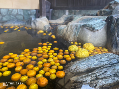 ”柚子ゆずってください”「ゆず風呂」＆「ゆずパスタ」、おふろcafeかりんの湯で、冬至の“柚子めぐり”キャンペーンを12月に開催