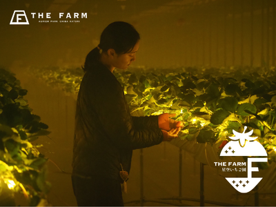 【房総の新スポット】年間33万人が訪れる農園リゾートが手掛ける「THE FARM星空いちご園」が2025年12月13日（土）オープン。 各メディアで話題の