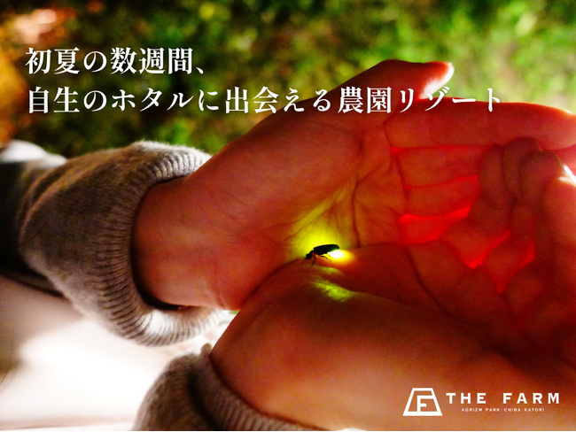千葉・香取の里山に、今年も自生のホタルの光。農園リゾートTHE FARMでご宿泊者様限定のホタル観賞体験を実施