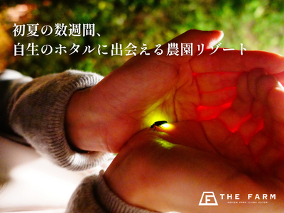 千葉・香取の里山に、今年も自生のホタルの光。農園リゾートTHE FARMでご宿泊者様限定のホタル観賞体験を実施