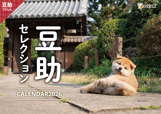 プレスリリース「柴犬「豆助セレクションカレンダー2026」9月27日（土）発売を決定！今回は日本の風景＋表情の豊かさがテーマ。豆助のかわいい姿を満載でお届け！」のイメージ画像