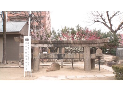 「これ何なん？」低すぎる鳥居に急すぎる橋…思わず二度見する『なにわの神社仏閣ミステリーランキング』