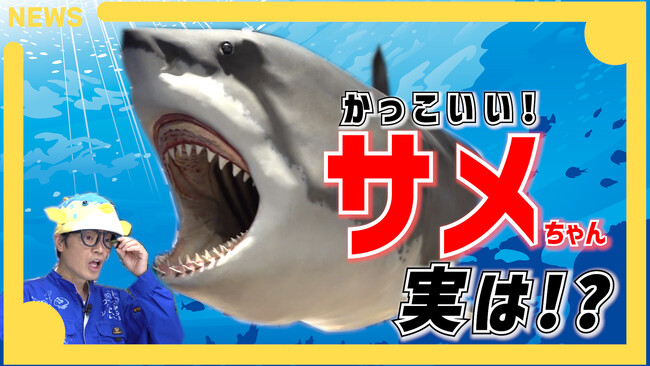 さかなクンと一緒にサメの魅力を再発見!「素材市場」YouTubeコラボ動画、7月28日(火)公開