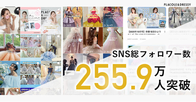 【総フォロワー数254.8万人突破】TikTokで2,500名応募!ブライダル向けSNS採用広報プランアップデートのお知らせ