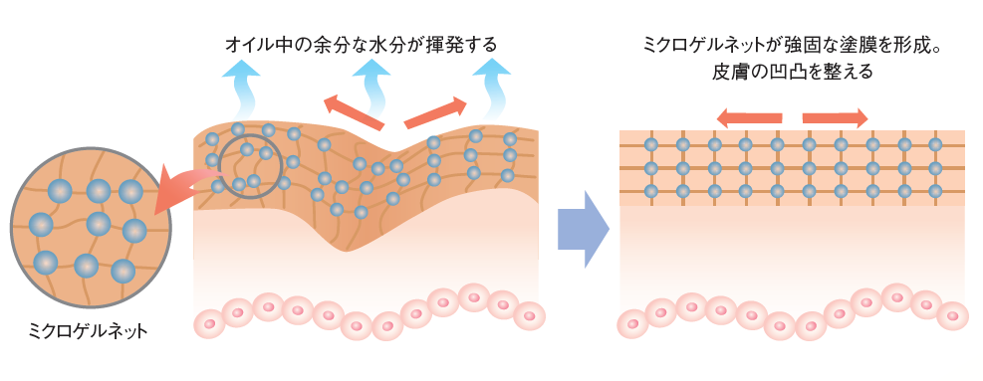 つけた瞬間から、湧き上がるハリ感。翌朝は、もっと楽しみに！眠っている間に美を立て直す‟コルセットのようなクリーム”誕生。