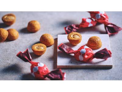 【菓子wabiya】京都・祇園発〈わたし好みのひとくちおやつ〉。黒蜜×ナッツの新食感「祇園このみ」2026年4月25日発売。手土産やギフトにも最適