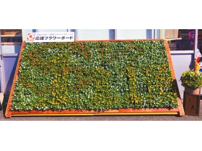 福岡ソフトバンクホークス　優勝おめでとう！ホームセンターグッデイでは、明日11月4日(日)から日本一おめでとうセール3日間開催します