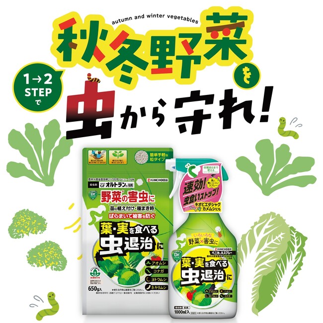 KINCHO園芸、秋冬野菜を害虫から守る「葉・実を食べる虫退治粒剤 家庭園芸用GFオルトラン粒剤」を8月初旬より発売