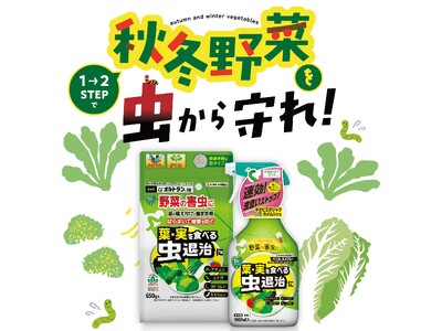 KINCHO園芸、秋冬野菜を害虫から守る「葉・実を食べる虫退治粒剤 家庭園芸用GFオルトラン粒剤」を8月初旬より発売