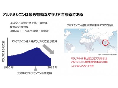 マラリア第一治療薬の耐性原虫がアフリカに出現していることを発見