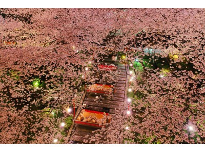 【高輪エリアのプリンスホテル】京都市の展開する「京都館プロジェクト2020」と初コラボレーション　桜とともに日本文化を伝承する「高輪 桜まつり2019」を開催