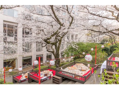 【高輪エリアのプリンスホテル】日本庭園に咲き誇る17種類約210本の桜でお花見気分「Takanawa SAKURA Days」開催