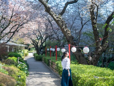 【高輪エリアのプリンスホテル】都心のホテルに咲き誇る約210本もの桜を愛でる春のイベント「高輪 桜まつり2023」を今年も開催