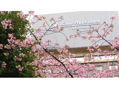 【ザ・プリンス さくらタワー東京、グランドプリンスホテル高輪、グランドプリンスホテル新高輪】日本庭園に春...
