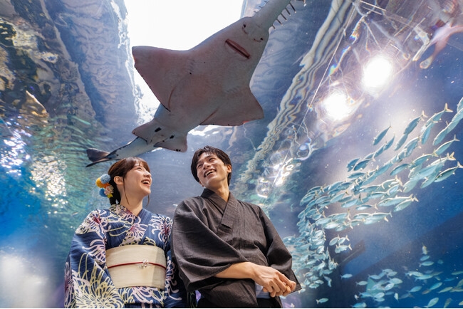 水族館でひんやり、はんなりと。夏の風情を愉しむ「浴衣で涼やか夏旅プラン」を販売