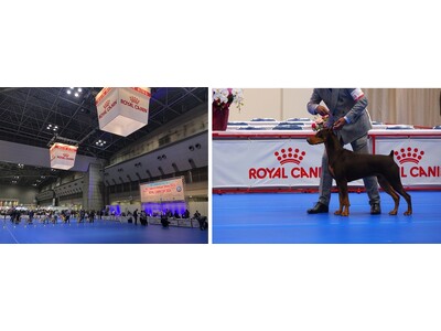 ロイヤルカナン、ドッグショーへの協賛を通じ専門家のサステナブルな発展を支援