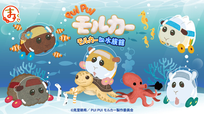 『PUI PUI モルカー』モルカーin水族館 オンラインくじ「まるくじ」にて販売開始！