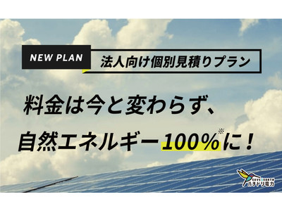 ハチドリ電力、法人向け＜個別見積りプラン＞を新設 ～今までと同じ料金で自然エネルギー100%を実現～