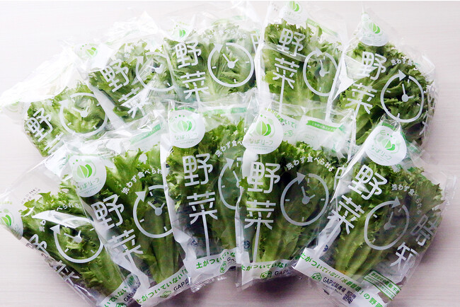 三重県名張市で野菜工場を運営する晃商自社ブランド「なばリーフ」を名張市ふるさと納税の返礼品に登録