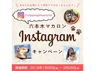 【六本木マカロン】写真を投稿してマカロンをもらおう ♪ Instagramキャンペーンがスタート！