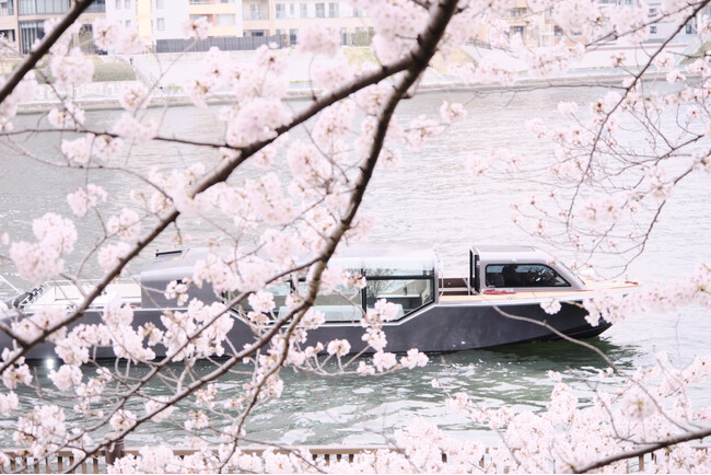 【アマン東京】日本が誇る桜の季節を愉しむ「桜 プライベート リバークルージング」プランのご案内のメイン画像
