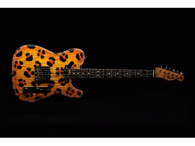 Fender Limited Art Gallery Collection桂川弦モデル『Gen Kats...