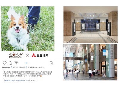PECOと三菱地所、千代田区後援事業のドッグパークに協力「OTEMACHI RIVERSIDE DOG PARK」登場記念Instagramキャンペーンを開催