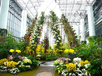 【グランドニッコー淡路】百花繚蘭オーキッドフェスティバルステイを2026年1月13日より販売