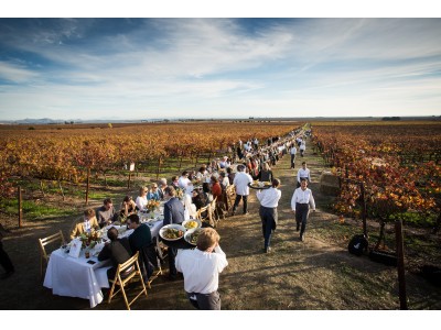 全長154メートルのロングテーブルランチ、カリフォルニア・ワインカントリーのブドウ畑で開催！