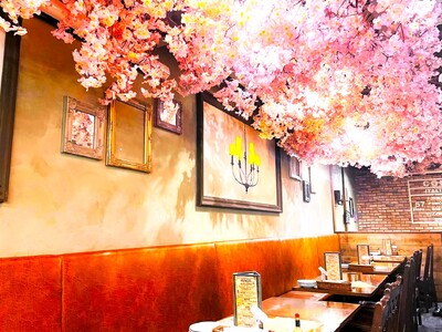 桜満開！！コスパ最強イタリアンバル【CONA】で【店内花見】！！お花見しながら窯焼きワンコインピザをお楽...