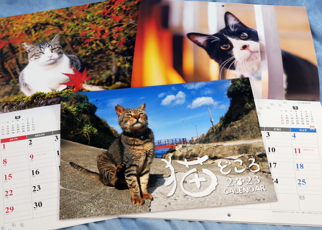 D]uLǂJ_[v NŔ@gLJ}hBe@gՂ̎p͂