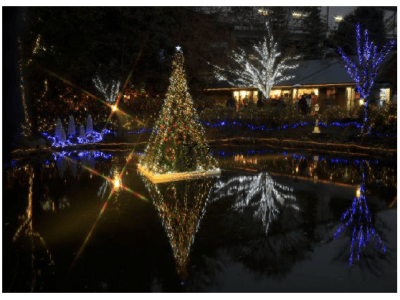 京王フローラルガーデン アンジェにて「アンジェのクリスマス」を開催!