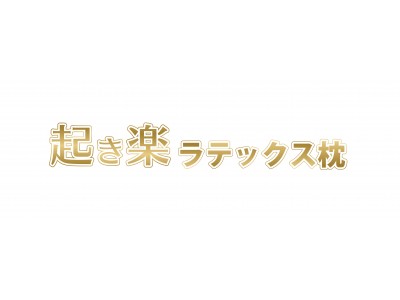 ライズ 起き楽 シリーズより枕が新登場 企業リリース 日刊工業新聞 電子版