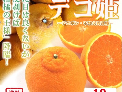 ＜Qoo10 「柑橘類」販売数ランキング＞様々な品種が旬を迎える春！愛媛県産の柑橘類が人気