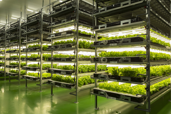 植物工場システム「agri-cube ID（アグリキューブ・アイディー）」株式会社ベジタブルテック第二工場に導入