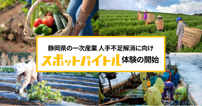 スポバ体験を通じて静岡県の一次産業に新たな担い手創出を。ディップ×SBSラジオ「スポットバイトル体験企画」7月24日より開始